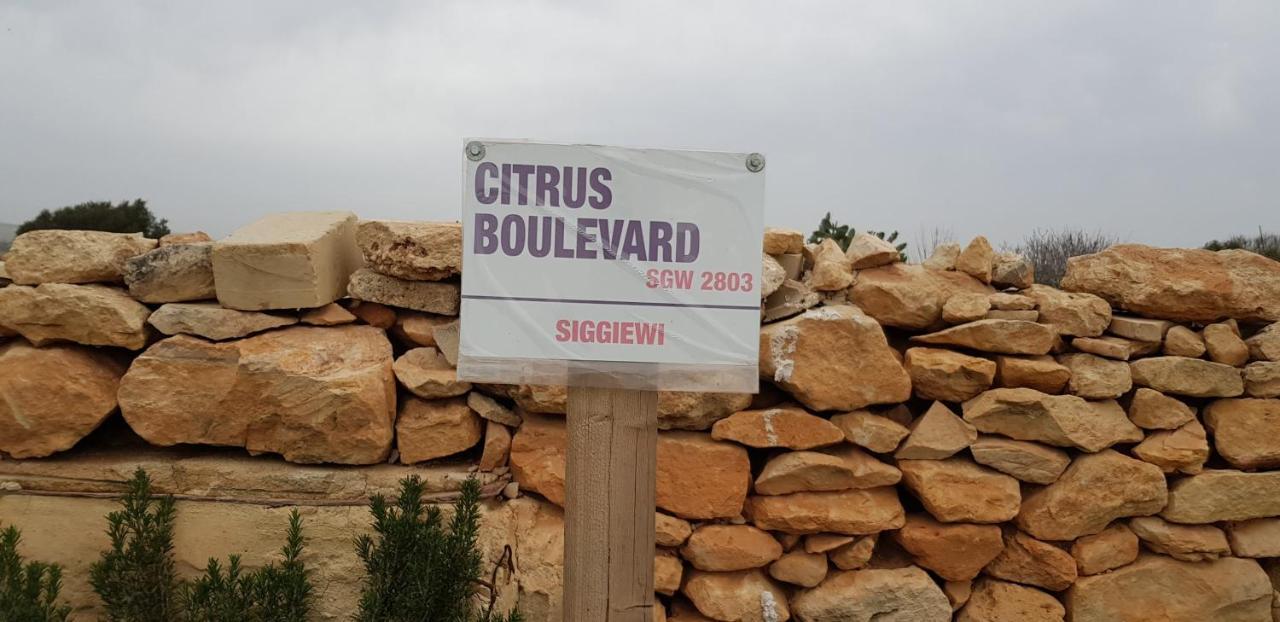 Auberge De Provence Konuk evi Siggiewi Dış mekan fotoğraf