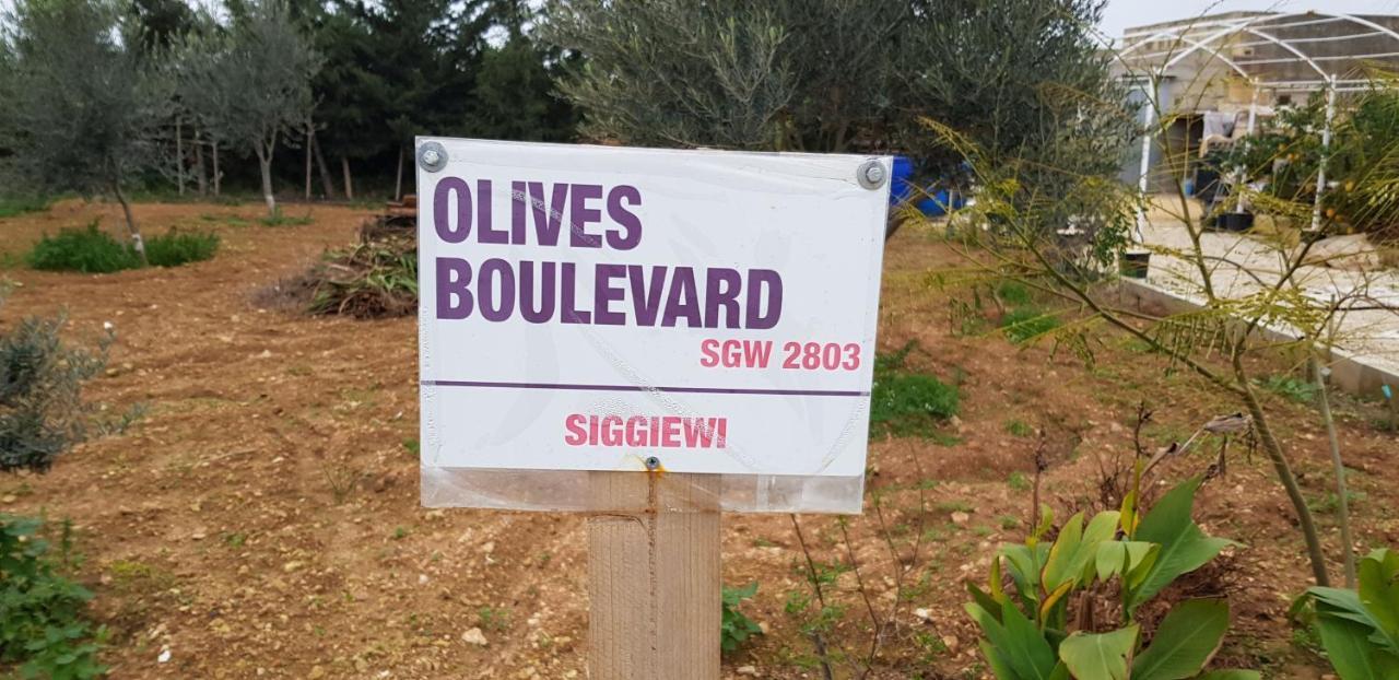 Auberge De Provence Konuk evi Siggiewi Dış mekan fotoğraf